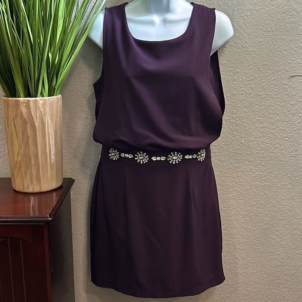 #4 C. Luce sleeveless embellished plum sheath dress size medium.